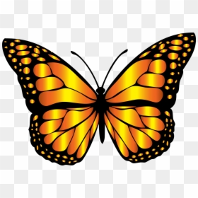 Black And Grey Butterfly, HD Png Download - beautiful butterfly png