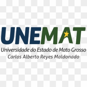 Mato Grosso State University, HD Png Download - feliz ano novo 2016 png