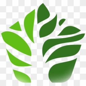 Picture - Agribusiness Logo Design, HD Png Download - banyan tree png
