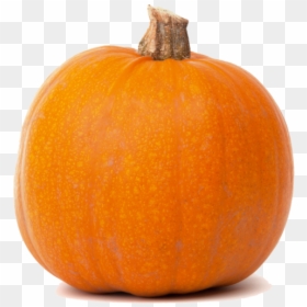 Real Pumpkin Transparent Png - Pumpkin Isolated Free, Png Download - happy pumpkin png