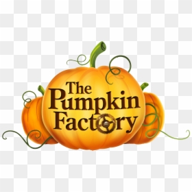 Transparent Pumpkin Vines Clipart, HD Png Download - pumpkin vines png