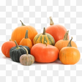Calabash - Pumpkins Png, Transparent Png - pumpkin vines png