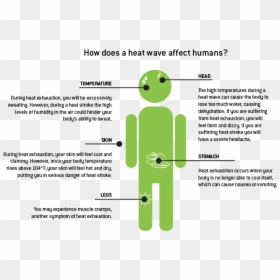 How Does A Heat Wave Affect Humans Natural Disaster - During A Heat Wave, HD Png Download - heat waves png