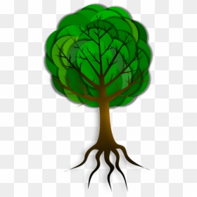 Plant Stem,organism,plant - Soil Moisture Sensor Installation, HD Png Download - tree with roots vector png