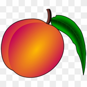 Peach Png Clipart - Peach Clipart, Transparent Png - peach clipart png