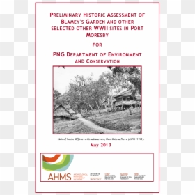 Tree, HD Png Download - wwii png