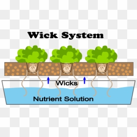 This Is A Diagram Of A Wick Hydroponic System - Wick Technique In Hydroponics, HD Png Download - wick png