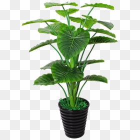 Houseplant, HD Png Download - outdoor potted plants png