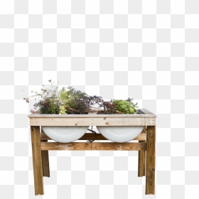 Outdoor Potted Plants Png, Transparent Png - outdoor potted plants png