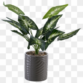 Flowerpot, HD Png Download - outdoor potted plants png