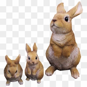 Králík Png, Transparent Png - statues png