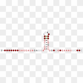 Circle, HD Png Download - gog png