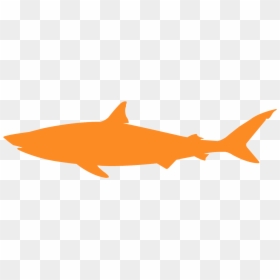 Bull Shark Silhouette, HD Png Download - bull shark png