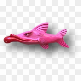 Bronze Hammerhead Shark, HD Png Download - snook png