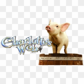 Image Id - - Charlotte's Web Movie Png, Transparent Png - charlotte's web png