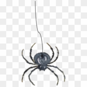 Insect, HD Png Download - charlotte's web png