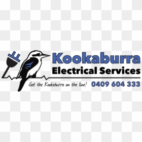 Kookaburra Electrical Services - Fisher Scientific, HD Png Download - electricity.png