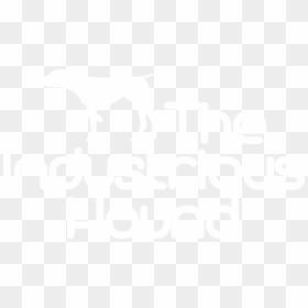 Logowebfatwhite - Dog, HD Png Download - hound png