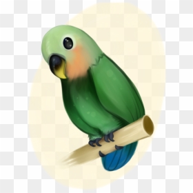 Birb Drawing Love Bird Huge Freebie Download For Powerpoint - Green Peach Faced Lovebird Vector, HD Png Download - birb png