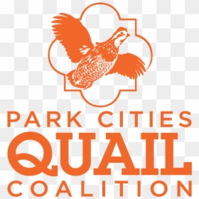 Pcqc 2019 Logo Clear Background - Park Cities Quail, HD Png Download - park background png