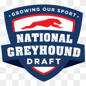 National Greyhound Draft, HD Png Download - greyhound logo png