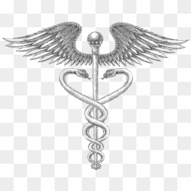Roman Medical Symbol - Medical Symbol Vintage Illustration, HD Png Download - tardis outline png