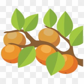 Clipart Orange Tree - Transparent Orange Tree Clipart, HD Png Download - tree png image