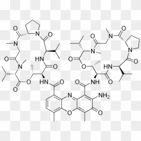 Actinomycin D, HD Png Download - d.png