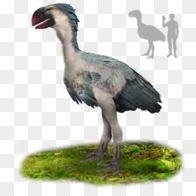File - Gastornis - Gastornis, HD Png Download - grass photoshop png