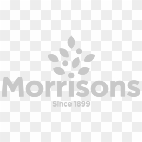 Logo5 - Morrisons, HD Png Download - snow globe base png