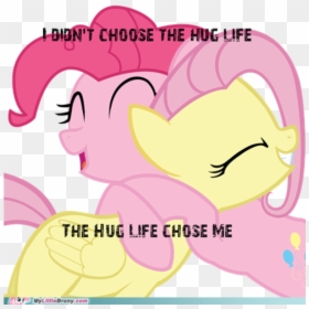 Dion"t Choose The Hug Life The Hug Life Chose Me Mylittle - Rainbow Dash And Fluttershy, HD Png Download - thug life meme png