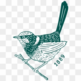Carringbush Icon Small Green Web-square - Emberizidae, HD Png Download - square png image