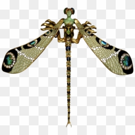 Dragonfly Png Free Image - ‘dragonfly’ Broach, Transparent Png - freeimage png