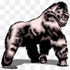 Vector Illustration Of Herbivorous Ape Silverback Gorilla, HD Png Download - silverback gorilla png