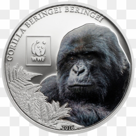 Coin, HD Png Download - silverback gorilla png