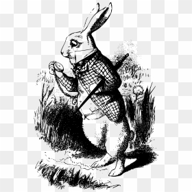 White Rabbit Alice In Wonderland Book, HD Png Download - jackrabbit png