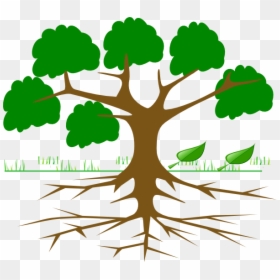 Tree Clipart With Roots - Imagenes De Arboles Con Ramas, HD Png Download - fallen tree png