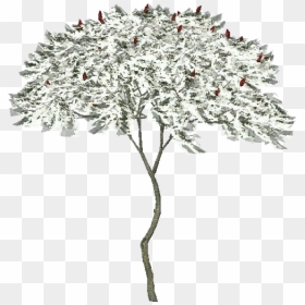 3d Trees - American Sumo - Acca Software - Artificial Flower, HD Png Download - fallen tree png