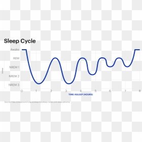 Product Life Cycle, HD Png Download - sleeping z's png