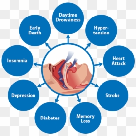 Obstructive Sleep Apnea Risks, HD Png Download - sleeping z's png