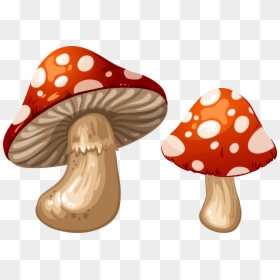 Mushrooms Png Clip Art - Alice's Adventures In Wonderland Mushroom, Transparent Png - fungus png