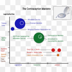 Contraception Mandate Graph - Circle, HD Png Download - graphs png