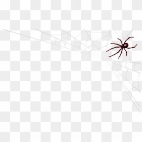 Spider Web, HD Png Download - spider net png