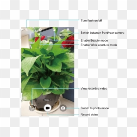 Gardening, HD Png Download - camera record png