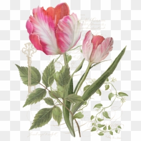 Elegant Art Tulips, HD Png Download - indigo plant png