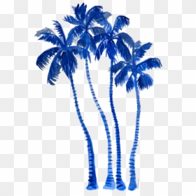 Blue Palm Trees, HD Png Download - indigo plant png