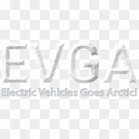 Number, HD Png Download - evga png