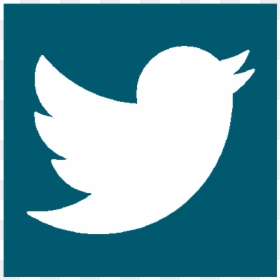Transparent Background Official Twitter Logo, HD Png Download - psychology symbol png