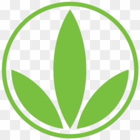 Herbalife Logo, HD Png Download - herbalife 24 logo png