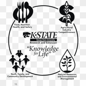 K State Logo Png Transparent - Kansas State University, Png Download - kansas state logo png